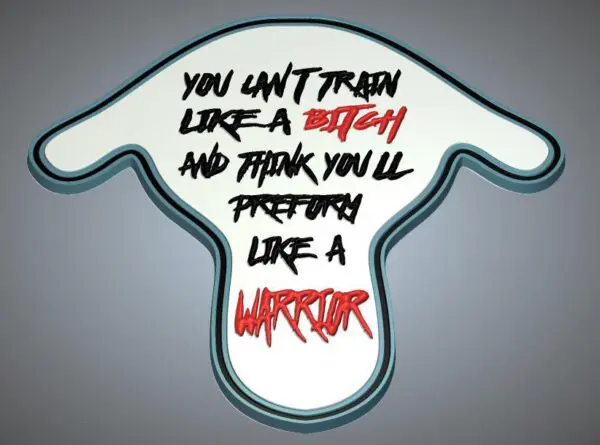 Motivational quote about training and warrior spirit in bold text.